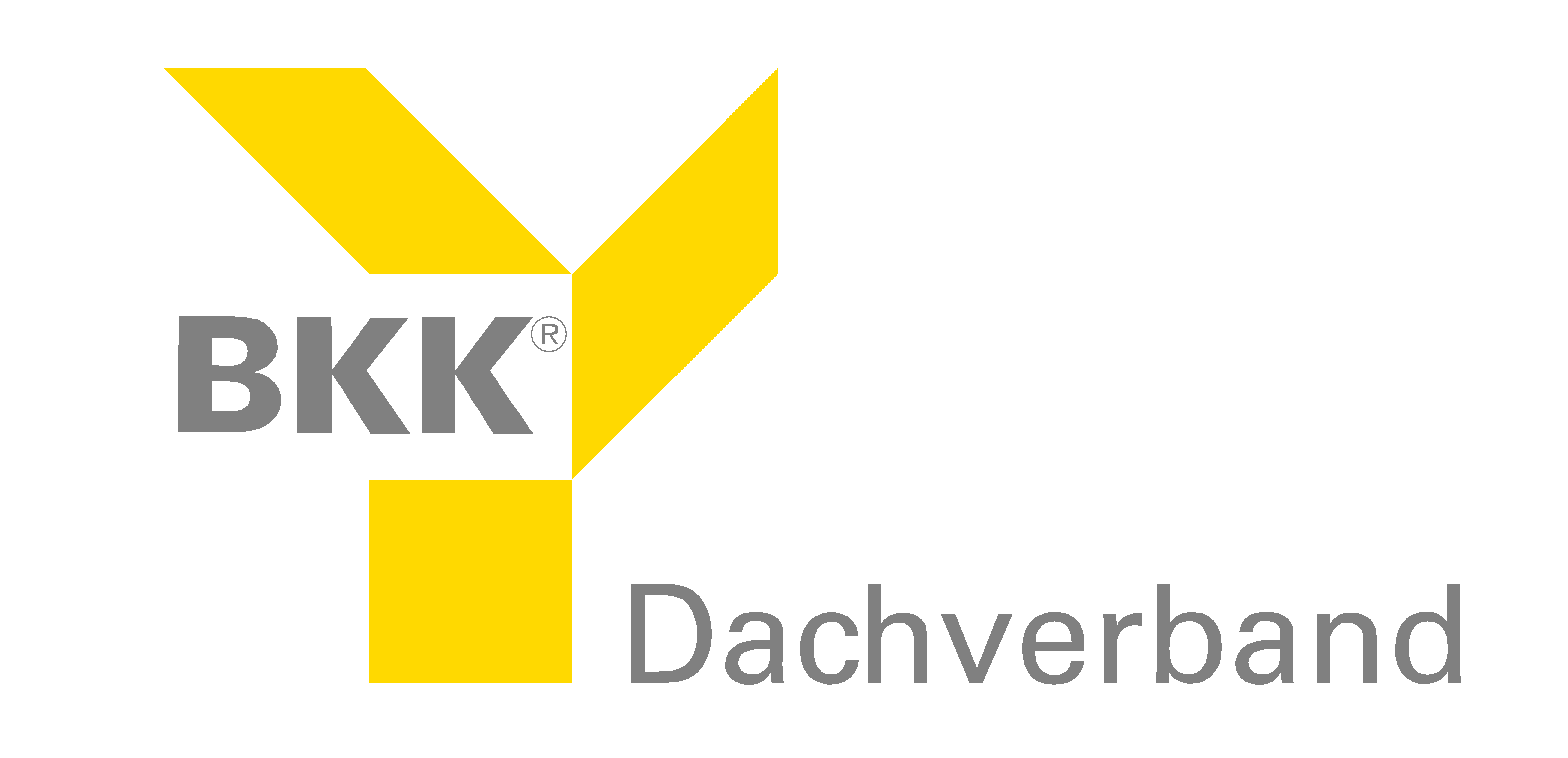 BKK DV Logo groß